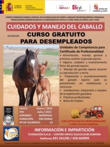 Curso gratuito de cuidados y manejo del caballo para personas desempleadas en Equus Duri
