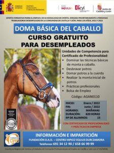 Curso gratuito de doma básica del caballo para personas desempleadas en Equus Duri
