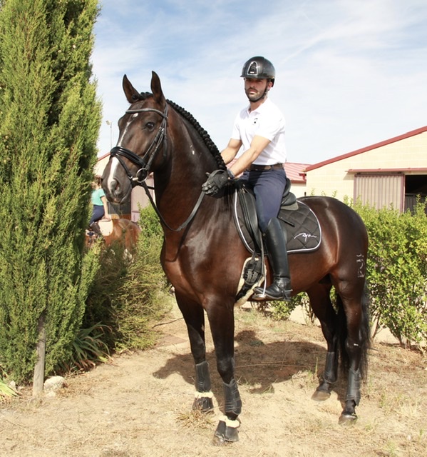 Jinete montando a caballo en las instalaciones de Equus Duri