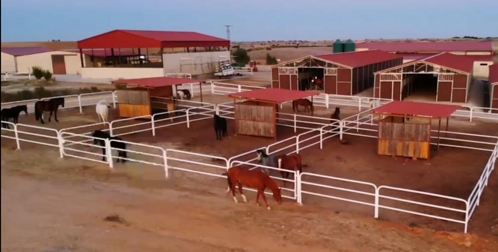 Vista general de las instalaciones y cuadras de Equus Duri