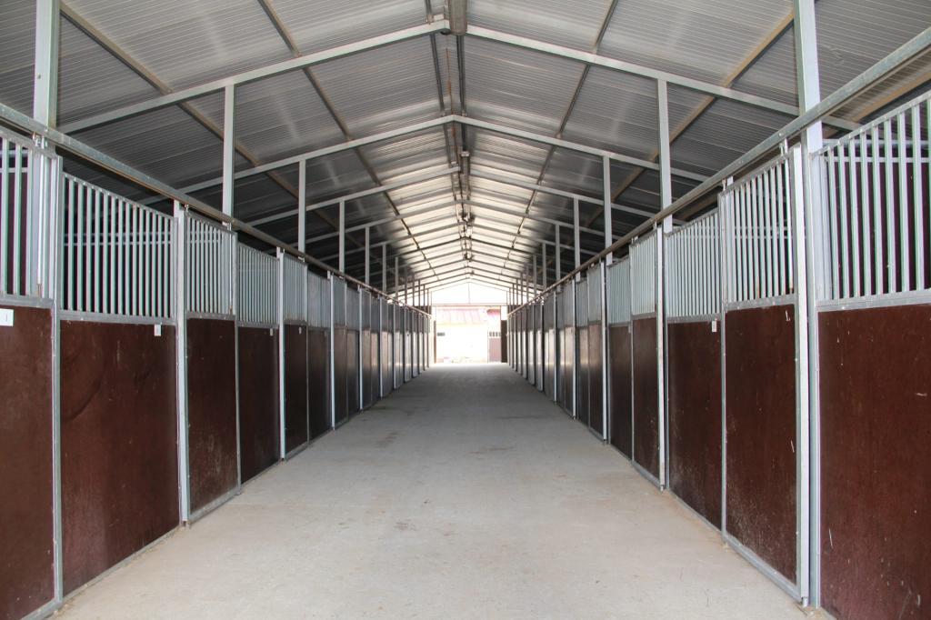 Pasillo de boxes para el alojamiento de caballos en Equus Duri